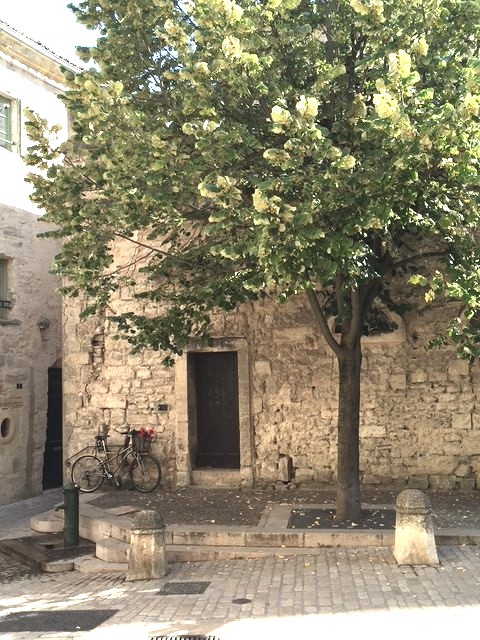 Door under a linden tree, a bicycle waiting outside